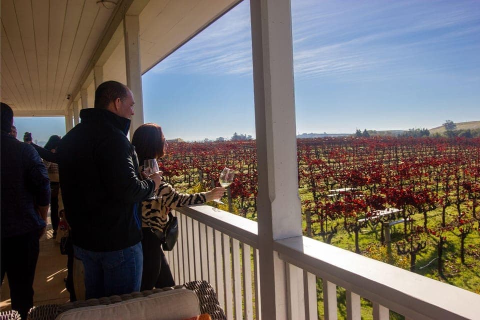 The Ultimate Napa & Sonoma Wine Tour Gallery Image 3