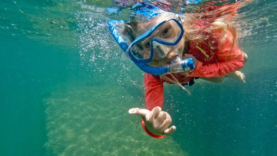 West Palm Beach: Beginner Snorkel Tour with Turtles & Videos Gallery Image 3