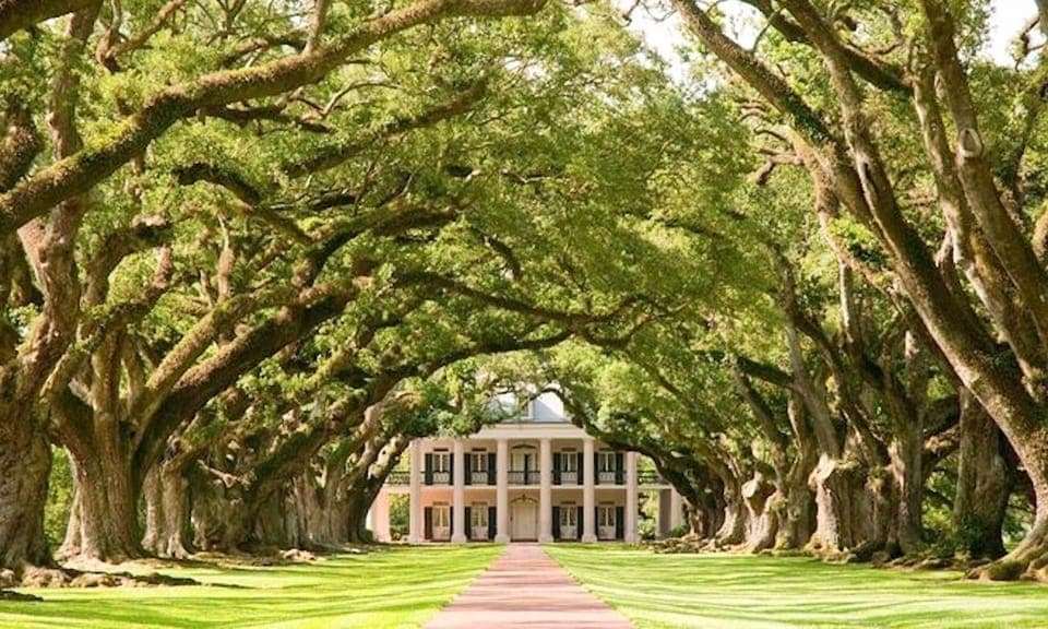 Oak Alley or Laura Plantation & Airboat Tour Gallery Image 2