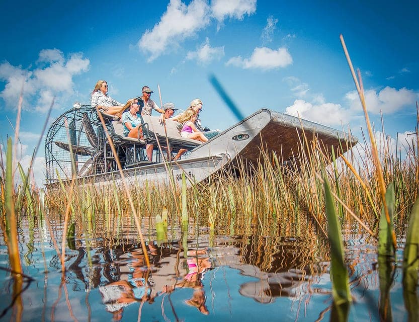 45. Everglades National Park Airboat Tour & Wildlife Show - Image 45