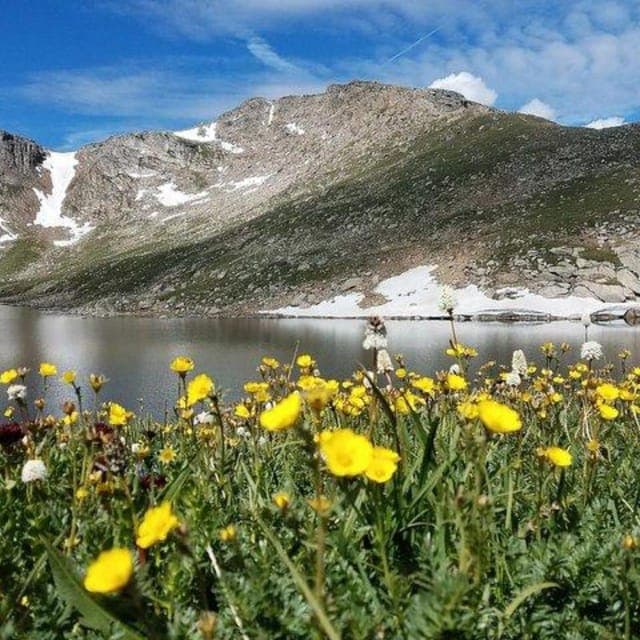From Denver - Small group tour to Mount Evans/Mount Blue Sky Gallery Image 3