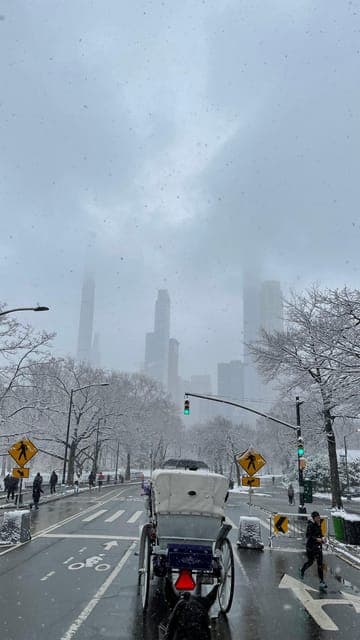 Empire State Horses Carriage Ride in Central Park Gallery Image 3
