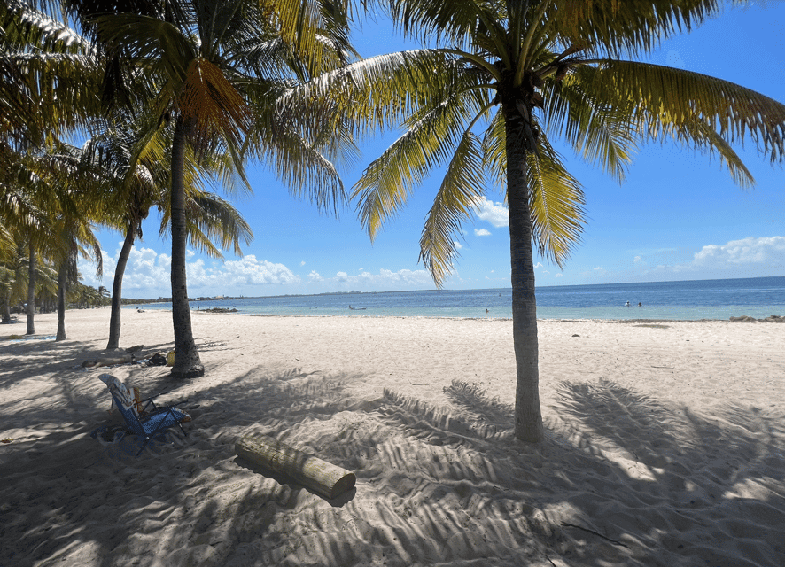 West Palm Beach: Beginner Snorkel Tour with Turtles & Videos Gallery Image 4