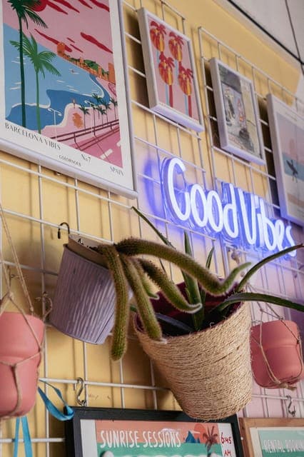 Sunrise Standup Paddle Tour w/ 4K Video & Coffee Gallery Image 4