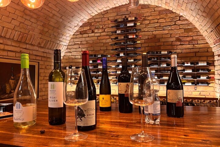 Budapest Wine Tasting and Heritage Experience at Goldcentral