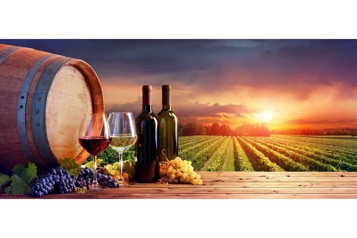 Chianti Wine Tour from Florence to San Gimignano with 2 Wineries (Private, Couples)