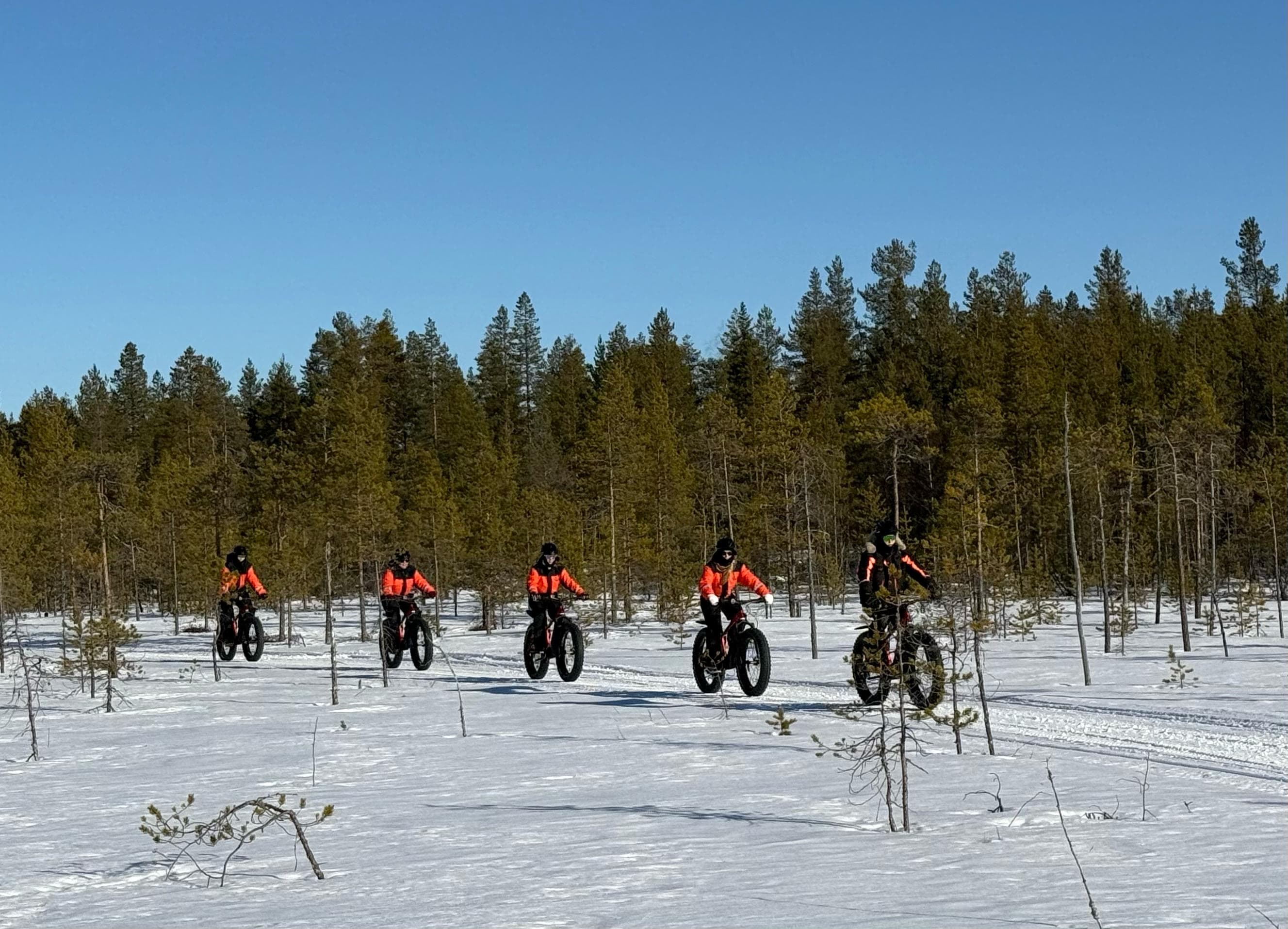 Electric Fat Biking at a Reindeer Farm — Romantic Couples Half‑Day (Porovaara)