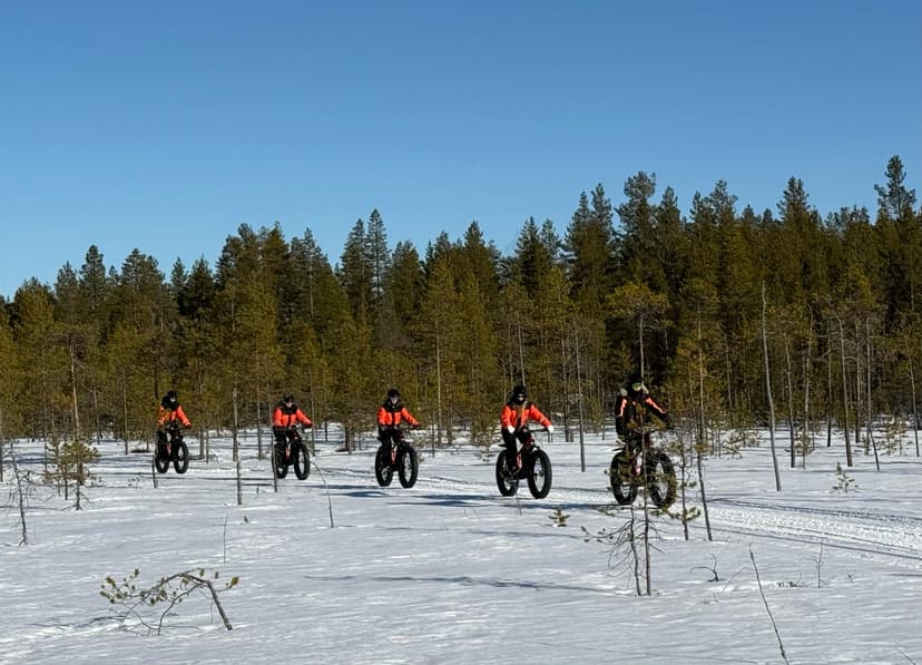 Electric Fat Biking at a Reindeer Farm — Romantic Couples Half‑Day (Porovaara)