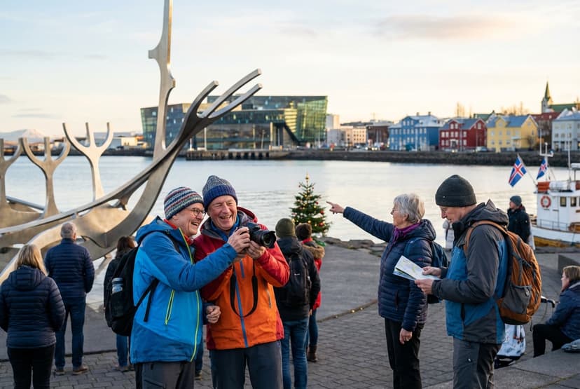 Gentle, Accessible Day in Reykjavík for Seniors (Summer)