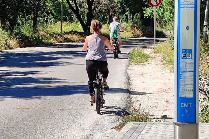 Green Madrid: Romantic E‑Bike Tour through Parks & Viewpoints (Autumn)