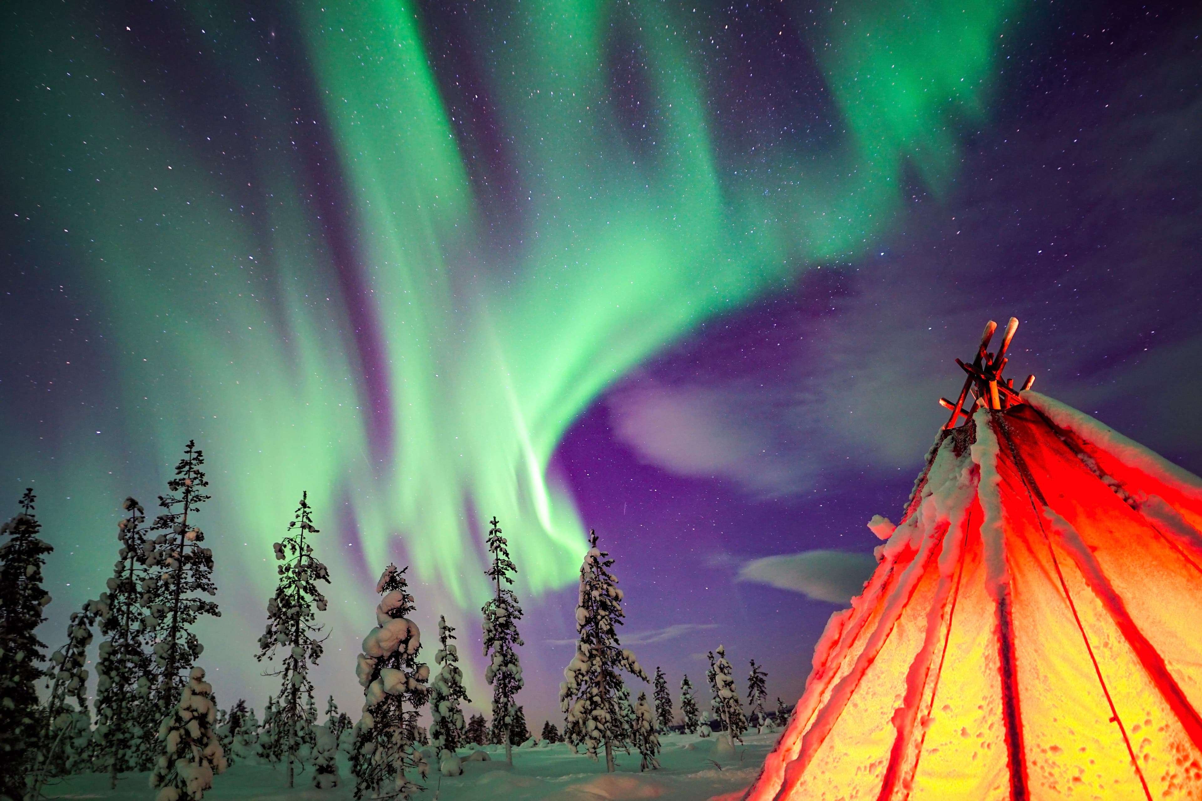 Northern Lights Wilderness Tour with Professional Camera